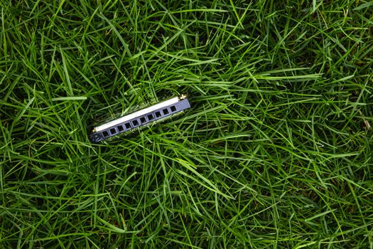 metal harmonica left in the tall green grass