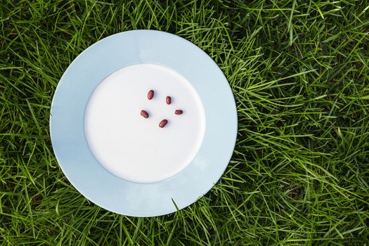 five red kidney bean on a blue rimmed plat on grass
