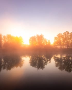 Golden misty sunrise on the pond in the autumn morning. Trees with rays of the sun cutting through the branches, reflected in the water.