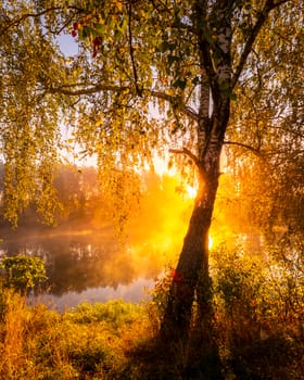 Golden misty sunrise on the pond in the autumn morning. Trees with rays of the sun cutting through the branches, reflected in the water.