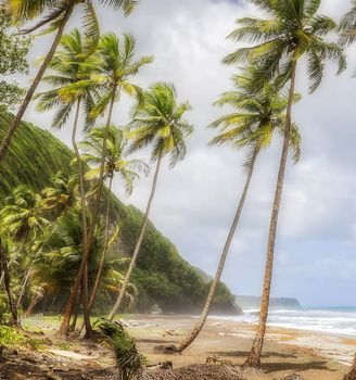 Beautiful pictures of  Dominica