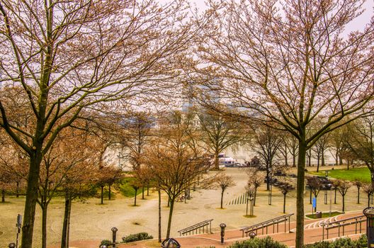 A winter day in the square that borders the rhine river as it passes through the city of Cologne