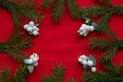 Frame of green fir branches and white dogwood berries on a red background. The concept of Christmas and the new year. Space for your text.
