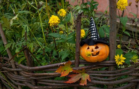 A cheerful pumpkin in a witch's hat is sitting on a fence among yellow flowers.The concept of Halloween.