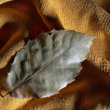 some dry leaves on a sweater in autumn