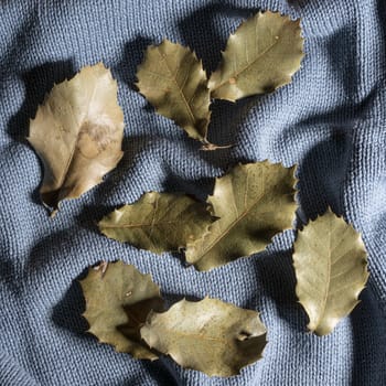 some dry leaves on a sweater in autumn