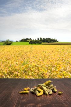 soybeans podson a wooden table with the background view of soybean crops on a sunny day