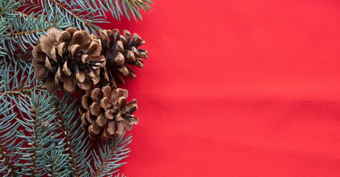 Three pine cones and blue spruce branches lie on a red background. The concept of the New year and Christmas.