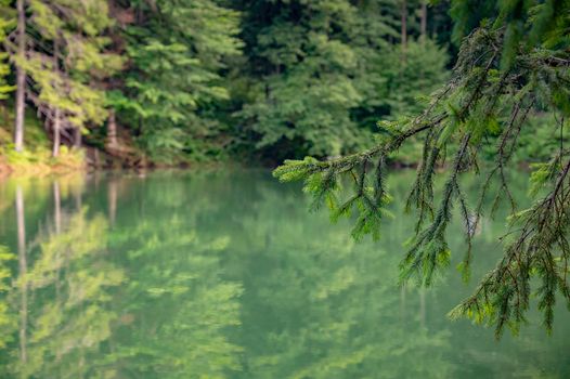 Natural colorful lakes in Europe. Kolorowe Jeziorka in Rudawy Janowickie, Poland. Beautiful turquoise lake with reflection against forest.