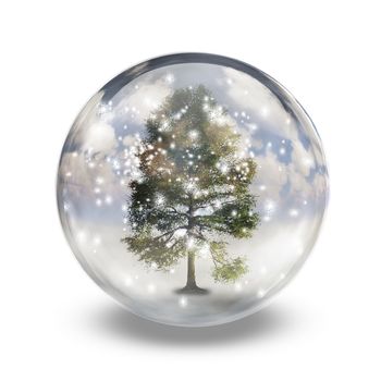 Green tree in crystal ball. 3D rendering