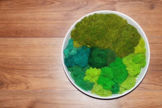 a round panel made of stabilized moss of various shades for ecological decoration of an office or apartment interior, copy space