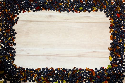 frame made of blueberries arranged at the left upper corner of a wooden table