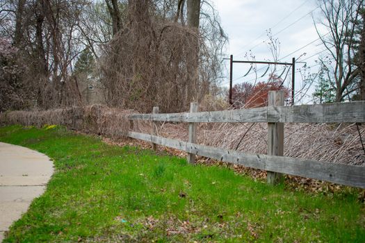 An Old Wooden Fence Covered in Dead Plants and Vines Next to the Sidewalk