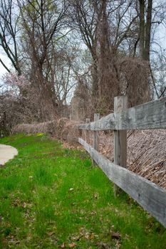 An Old Wooden Fence Covered in Dead Plants and Vines Next to the Sidewalk