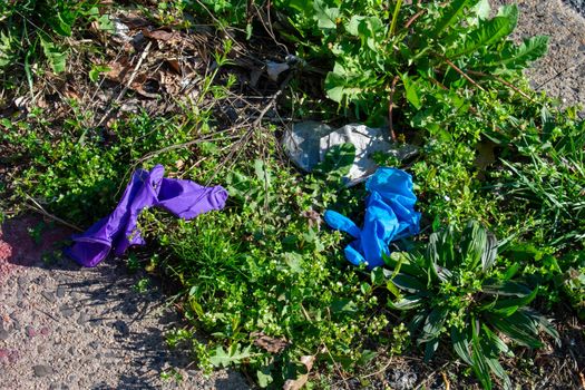 A Blue and Purple MEdical Glove Laying in a Patch of Grass Used to Protect Against COVID-19