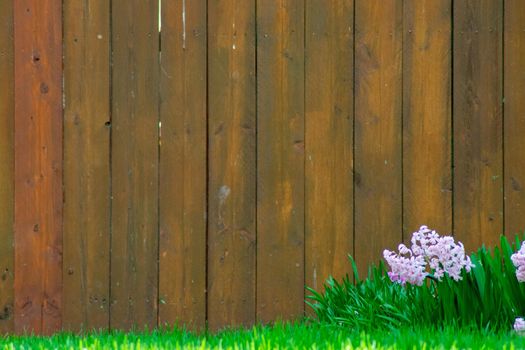 Small White Flowers and Plants Next to a Large Brown Wooden Fence With Copy Space