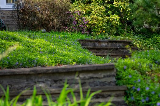 A Cobblestone Path and Steps Leading Up to a Suburban Home