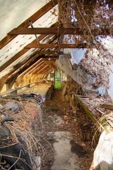 Looking Through an Old Abandoned Canvas Greenhouse With a Bright Green Room Full of Plants in the Back