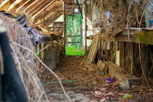 Looking Through an Old Abandoned Canvas Greenhouse With a Bright Green Room Full of Plants in the Back