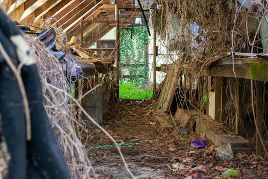 Looking Through an Old Abandoned Canvas Greenhouse With a Bright Green Room Full of Plants in the Back