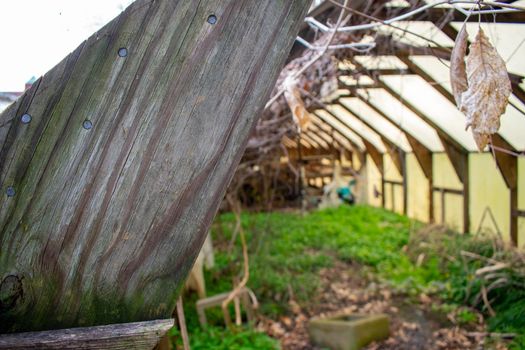 A Wooden Support Beam for an Abandoned Greenhouse