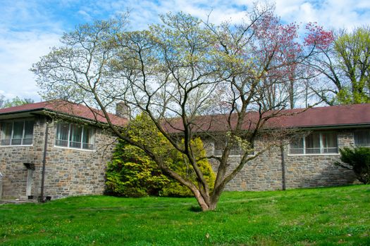 A Small Blooming Tree in Front of a Cobblestone Building With a Red Roof