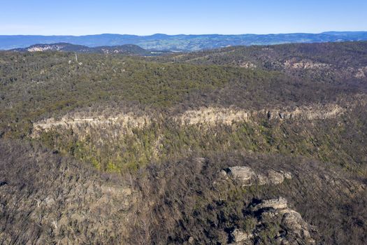 Aerial view of forest regeneration after bushfires in The Blue Mountains in New South Wales in Australia