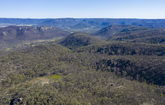 Aerial view of forest regeneration after bushfires in The Blue Mountains in New South Wales in Australia