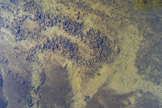 A river that is drying up due to the severe drought in New South Wales, Australia