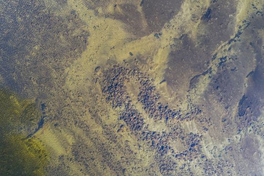 A river that is drying up due to the severe drought in New South Wales, Australia