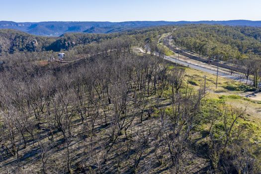 Aerial view of the Great Western Highway running through forest burnt by bushfires at Mount Victoria in The Blue Mountains in New South Wales in Australia