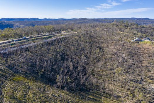 Aerial view of the Great Western Highway running through forest burnt by bushfires at Mount Victoria in The Blue Mountains in New South Wales in Australia