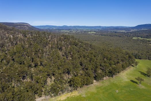 Aerial view of forest regeneration after bushfire in The Blue Mountains in regional New South Wales in Australia