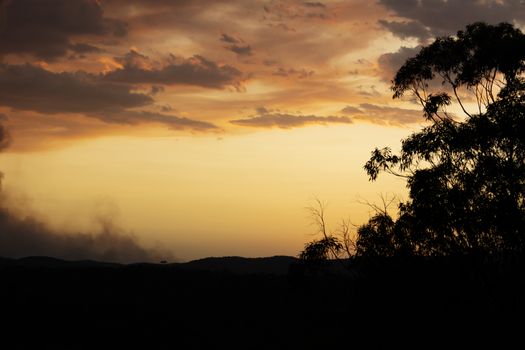 Gum Trees and clouds in bush fire smoke at sunset in The Blue Mountains in Australia