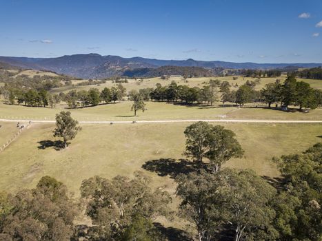 Horses in a field in the Megalong Valley in The Blue Mountains of New South Wales in Australia