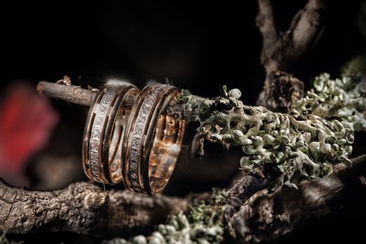 Two golden rings and branch on a studio background