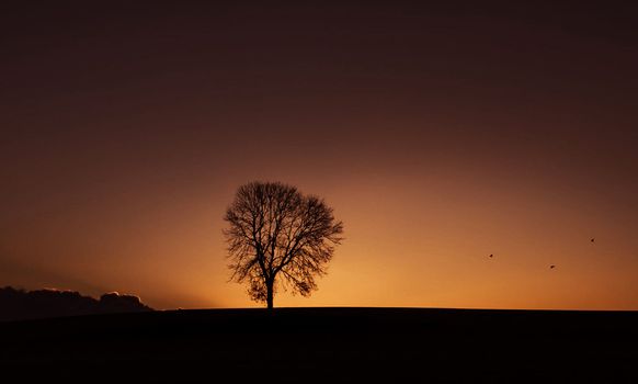 Beautiful pictures of  Switzerland