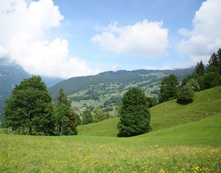 Beautiful pictures of  Switzerland