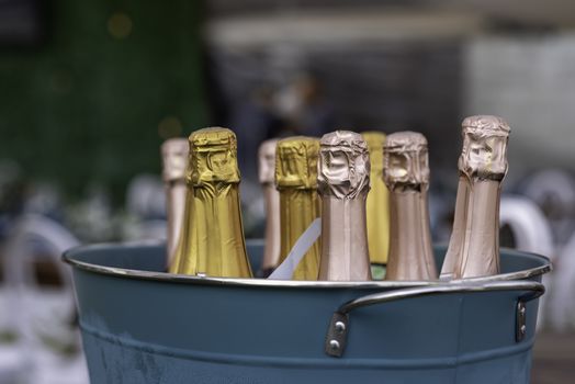 Assortment of champagne placed in ice bucket with background blurred out