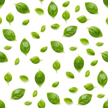 Italian Basil leaf herb seamless pattern on white background, Creative seamless pattern made from fresh green basil flat lay layout. Food ingredient seamless pattern.