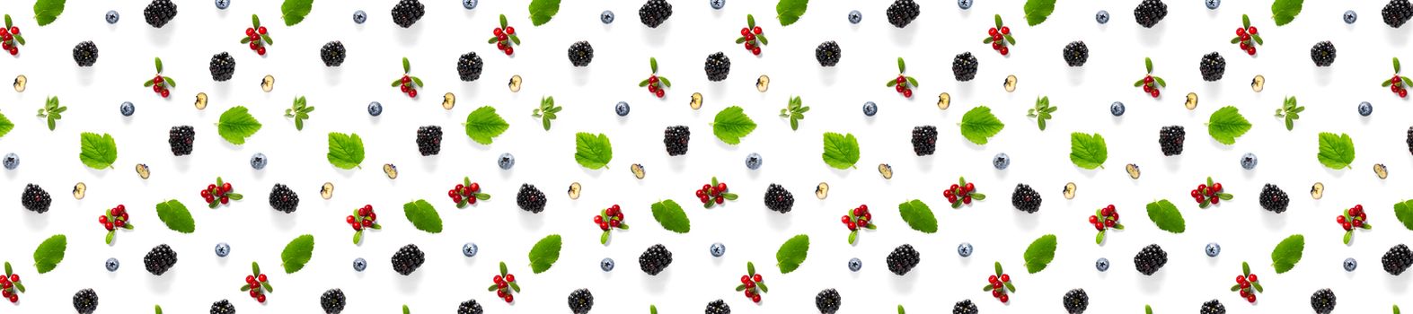 Creative set of wild berries, blackberry, blueberry, lingonberry and bramble. modern banner background on white backdrop made from autumn forest wild berries. Forest berries mix