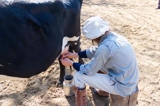 rural working woman milking the cows