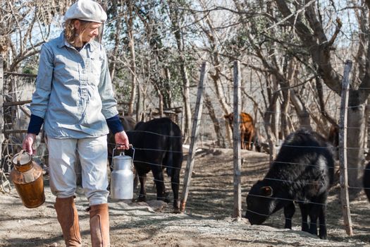 rural working woman milking the cows