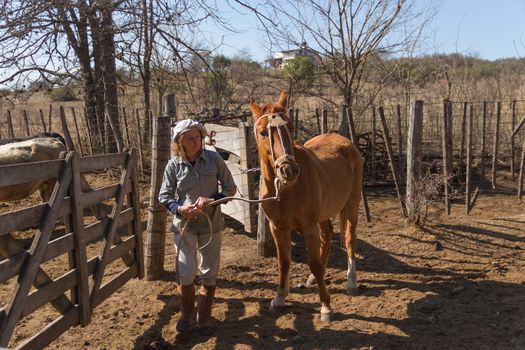 rural woman working in the field leading horse