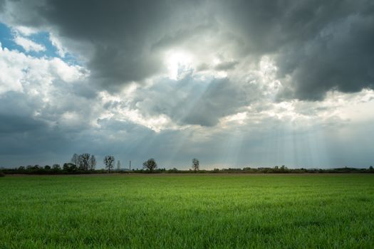 Sunrays and clouds over a green field, spring view