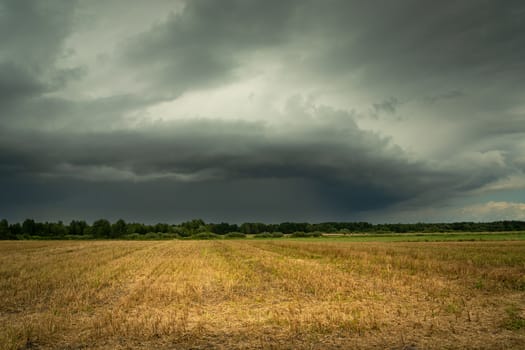 Dark stormy cloud over the field, summer view