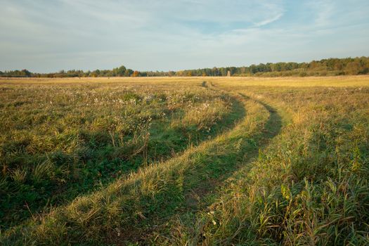 Ground road through a wild meadow, autumn view