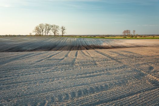 Ploughed dry field and trees on the horizon, spring view