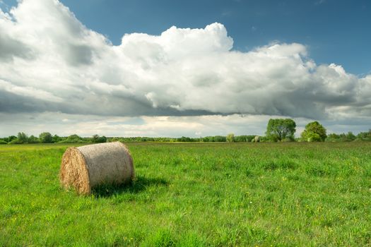 Hay bale on green meadow and big white cloud on blue sky, summer view