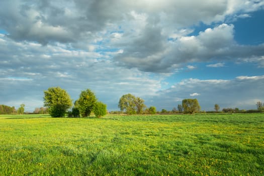 Beautiful green meadow with trees and clouds against a blue sky, spring view